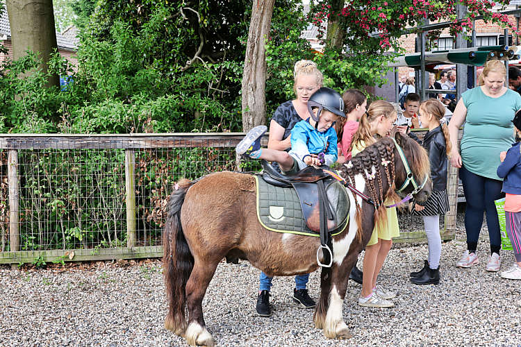 Rommelmarkt 2022 Waarder_106